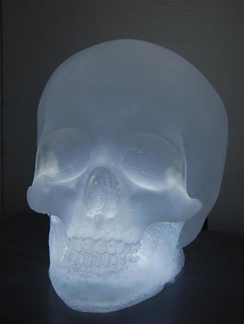 lampe crâne translucide